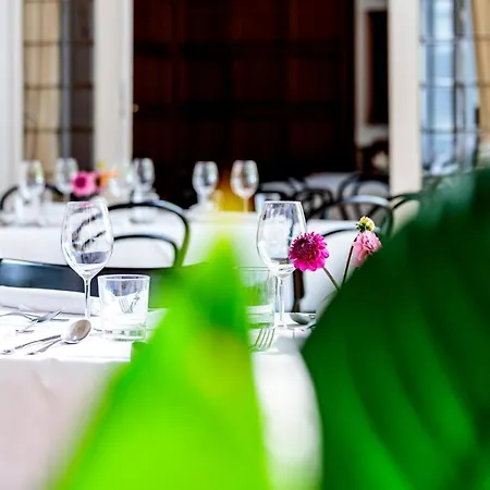 酒店 赫泽格霍夫酒店 巴登