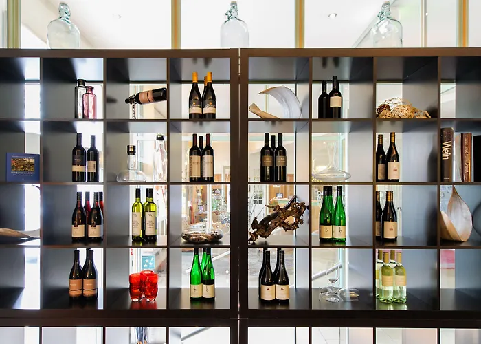 赫泽格霍夫酒店 酒店 巴登